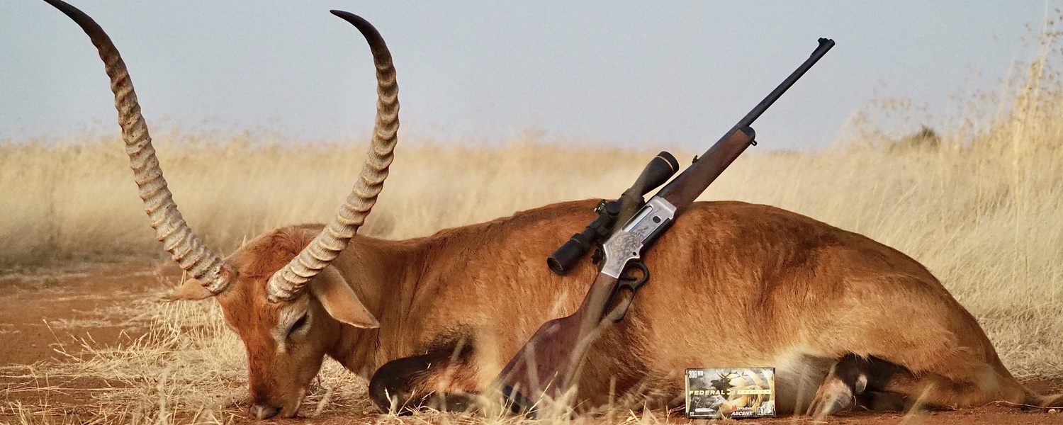 For the best trophy and biltong hunting experience in Southern Africa, you found the right place. We offer the best hunting experience for local and international hunters.